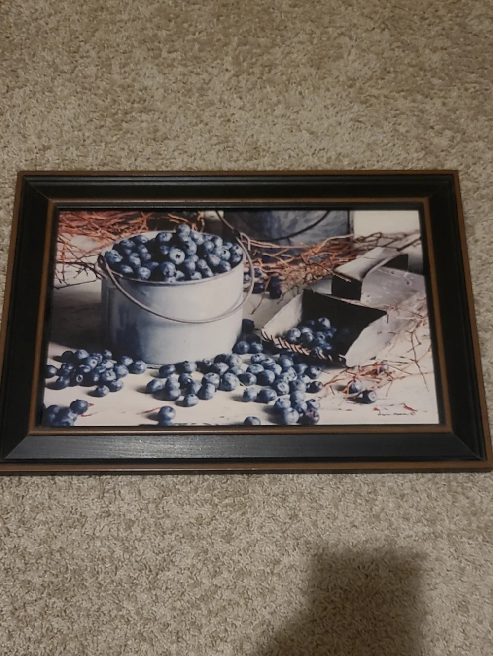 Framed Blueberry Still Life Wall Art Irvin Hoover Primitive Artist